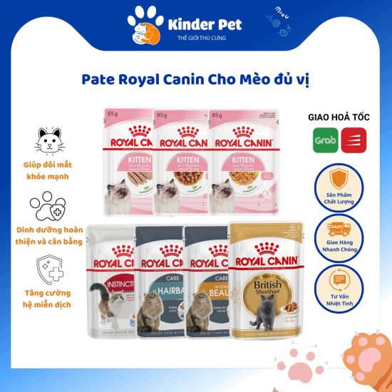 Pate Royal Canin cho meo