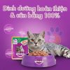 Pate Whiskas cho meo truong thanh