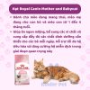 Hat royal canin cho meo