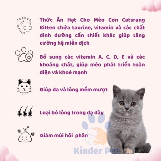 Thuc an hat kho cho meo con Catsrang Kitten