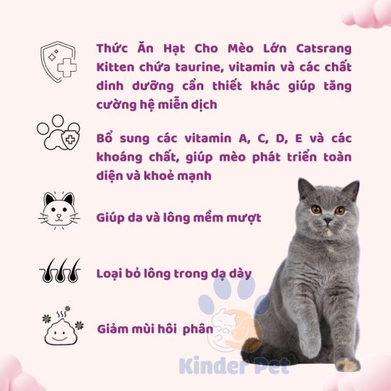 Thuc an kho Hat Catsrang cho meo lon