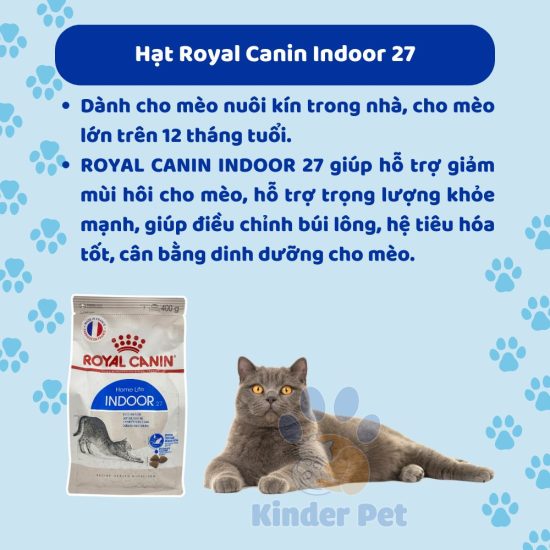 Hat royal canin cho meo