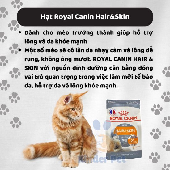 Hat royal canin cho meo