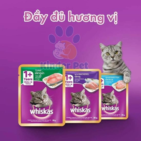 Pate Whiskas cho meo truong thanh