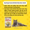 Hat royal canin cho meo