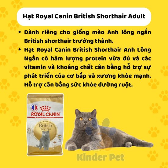 Hat royal canin cho meo