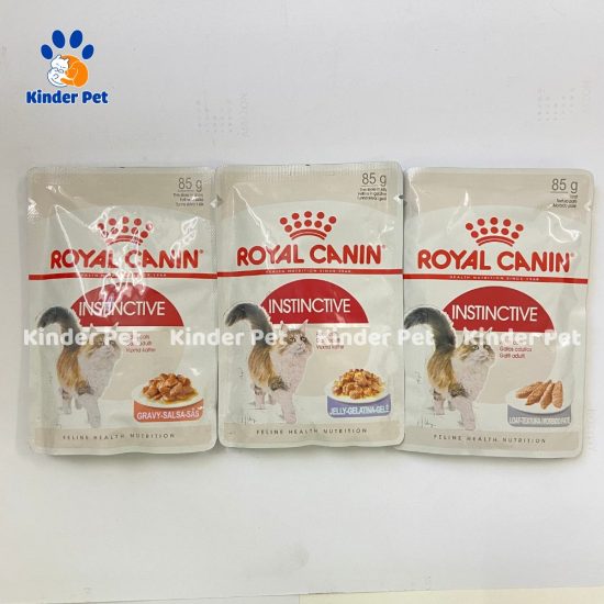 Pate Royal Canin cho meo