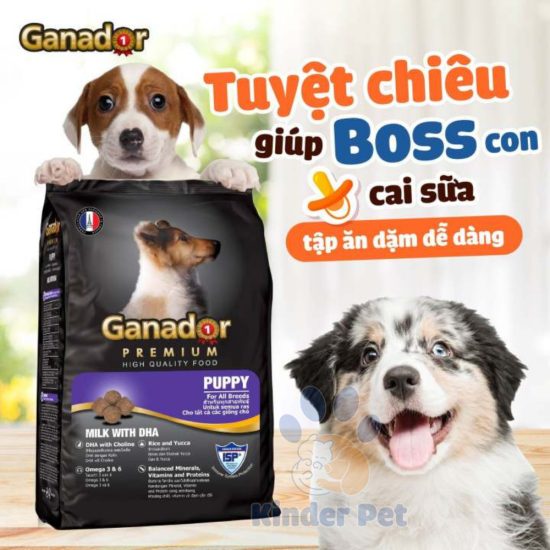 Hat Ganador Puppy cho cho con