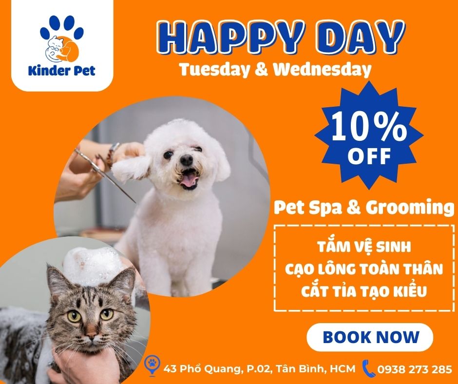 Pet Grooming dịch vụ tắm vệ sinh chó mèo